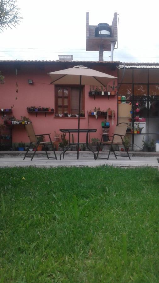 La Casita De Abu! Lejlighed Salta Eksteriør billede